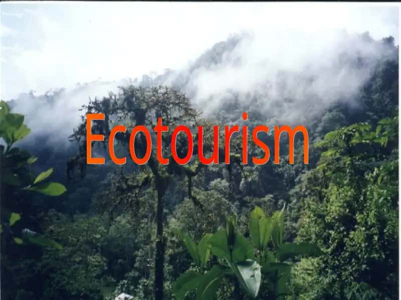 Ecotourism