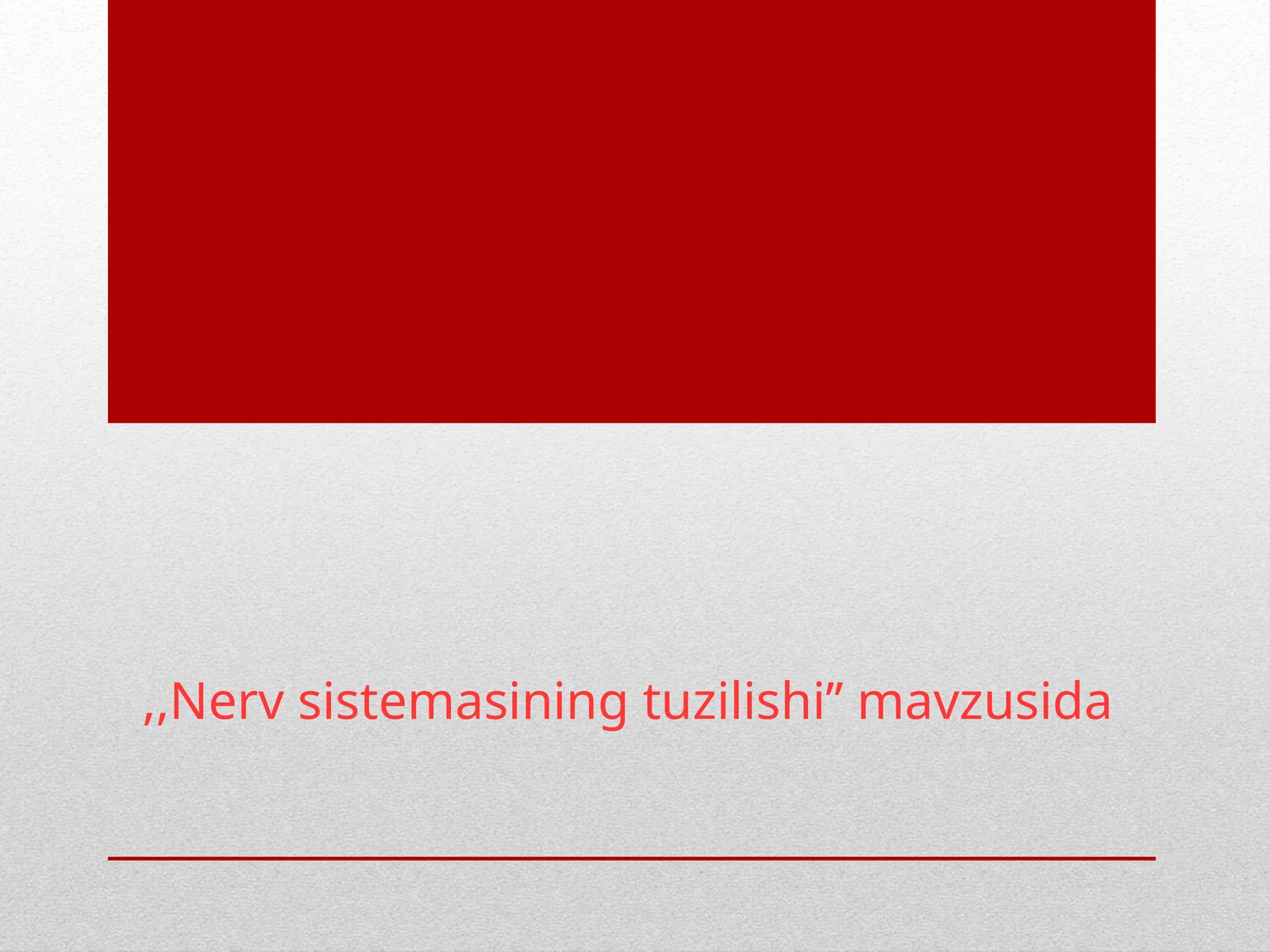 Nerv sistemasining tuzilishi