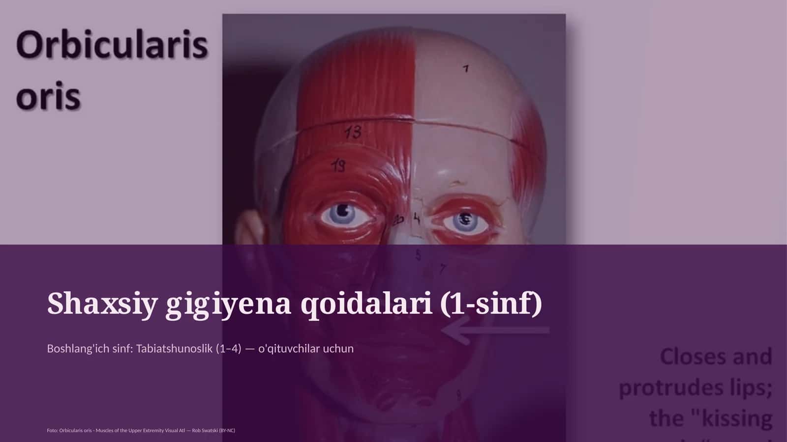 Shaxsiy gigiyena qoidalari (1-sinf)