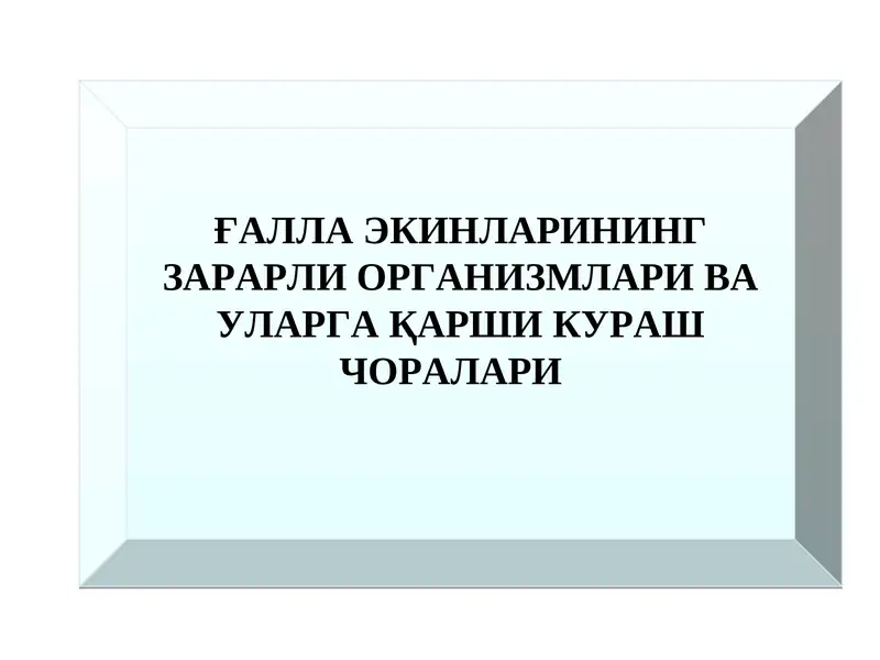 Ғаллани сўрувчи зараркунандалари ва уларга қарши кураш чоралари