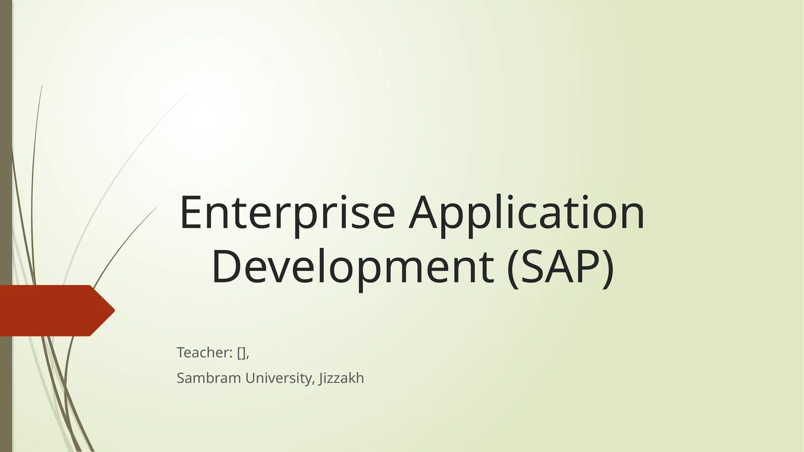 Enterprise Application Development (SAP)