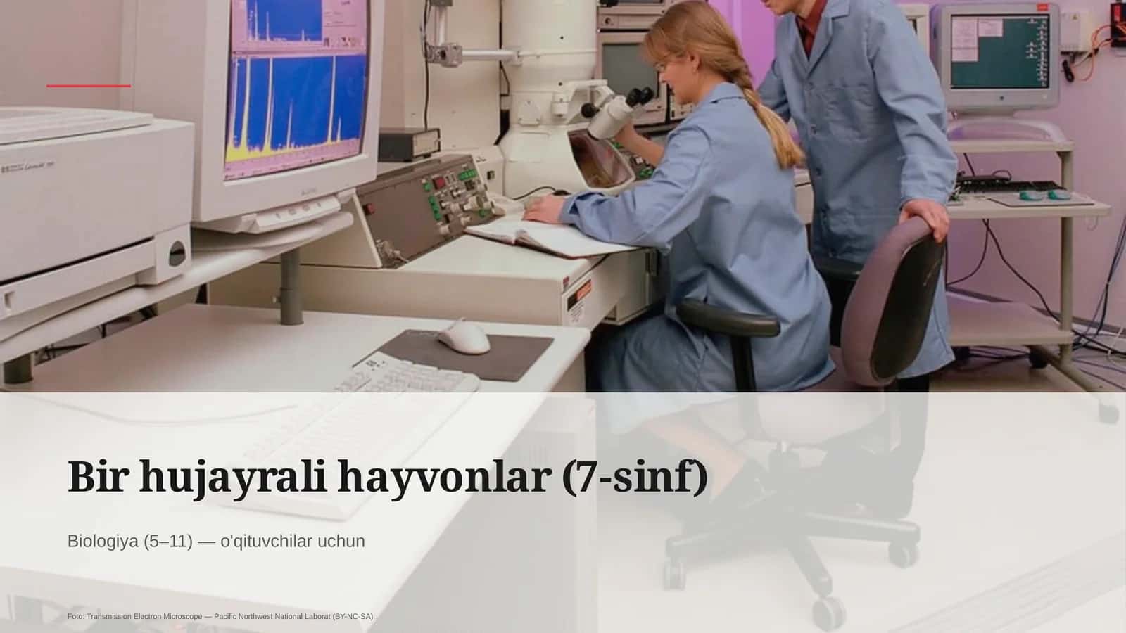 Bir hujayrali hayvonlar (7-sinf)