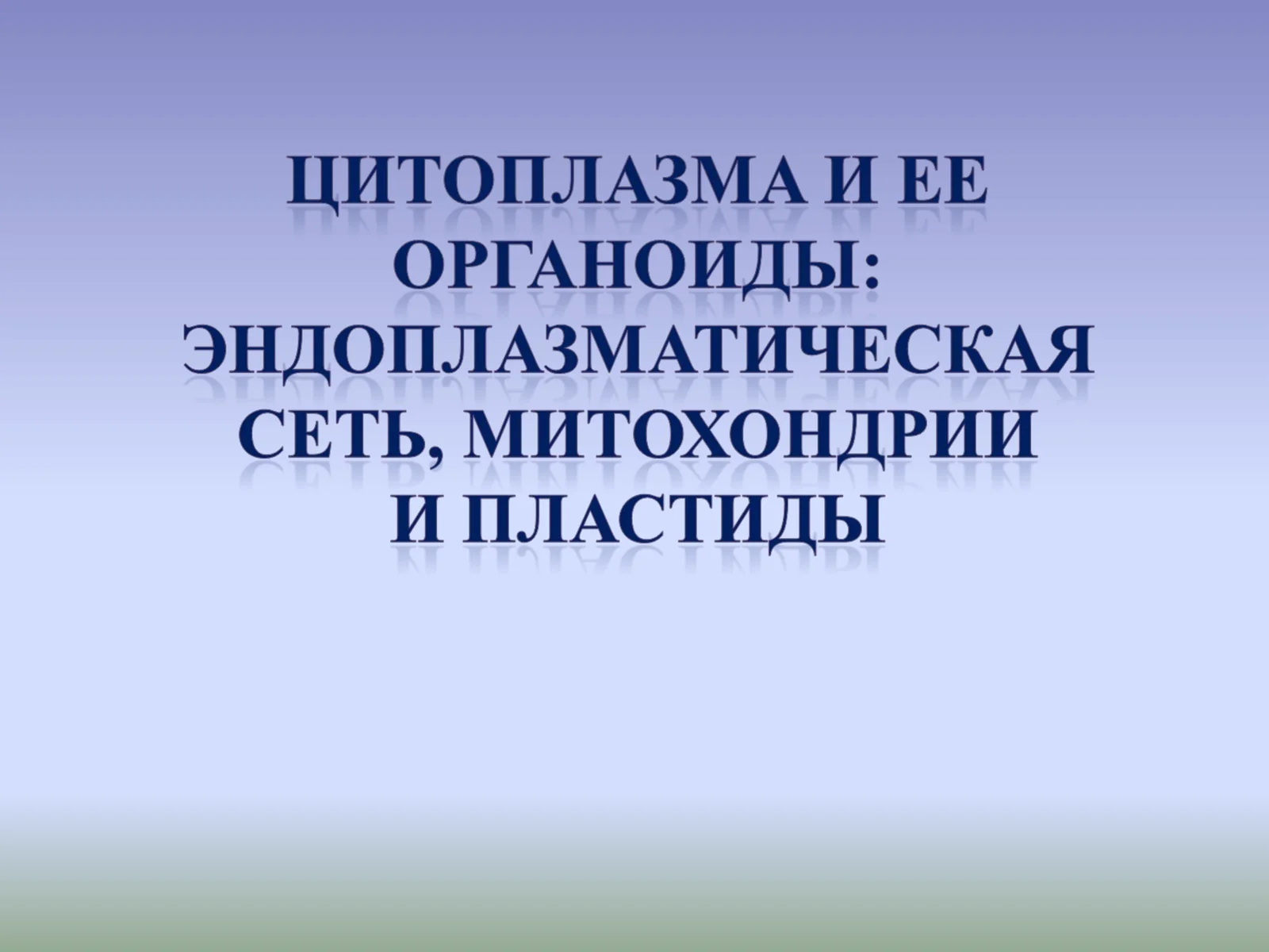 Ядро