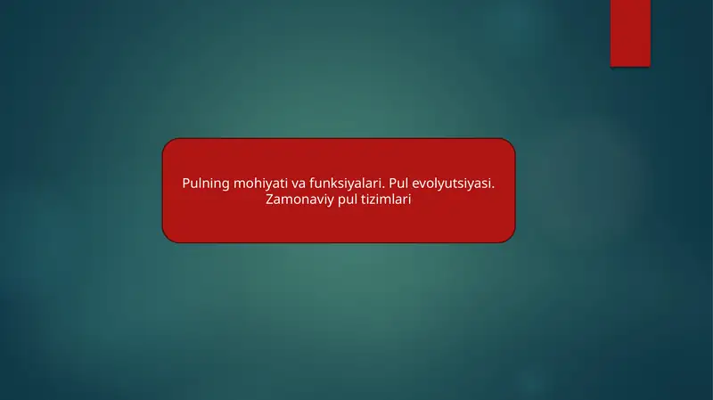 Pulning mohiyati va funksiyalari