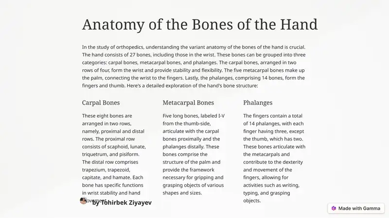 Anatomy of the Bones of the Hand