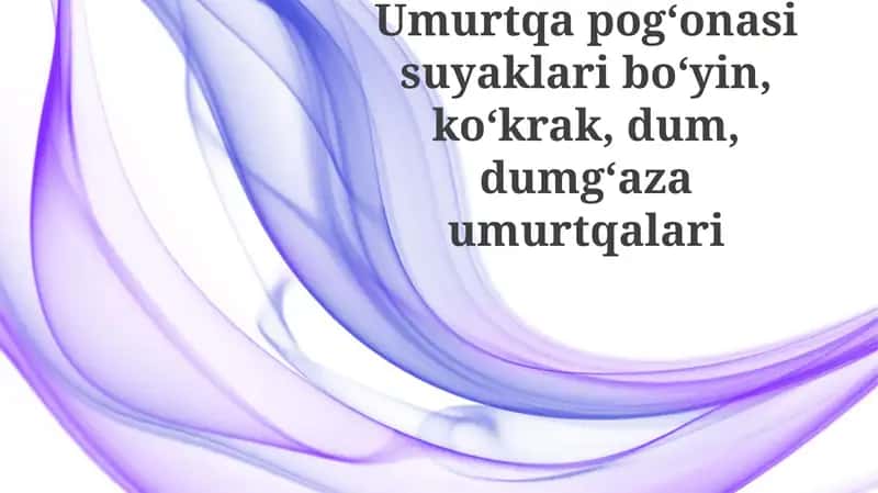 Umurtqapogʻonasisuyaklariboʻyin,koʻkrak,dum,dumgʻazaumurtqalari