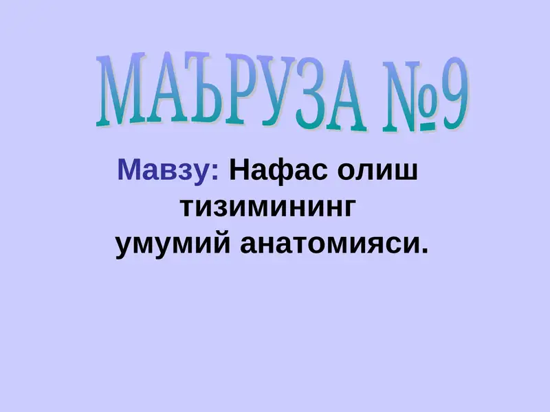 nafas olish sistemasining umumiy anatomiyasi