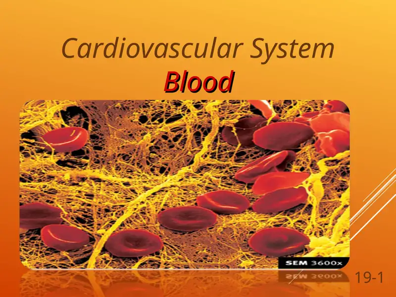Cardiovascular System, blood