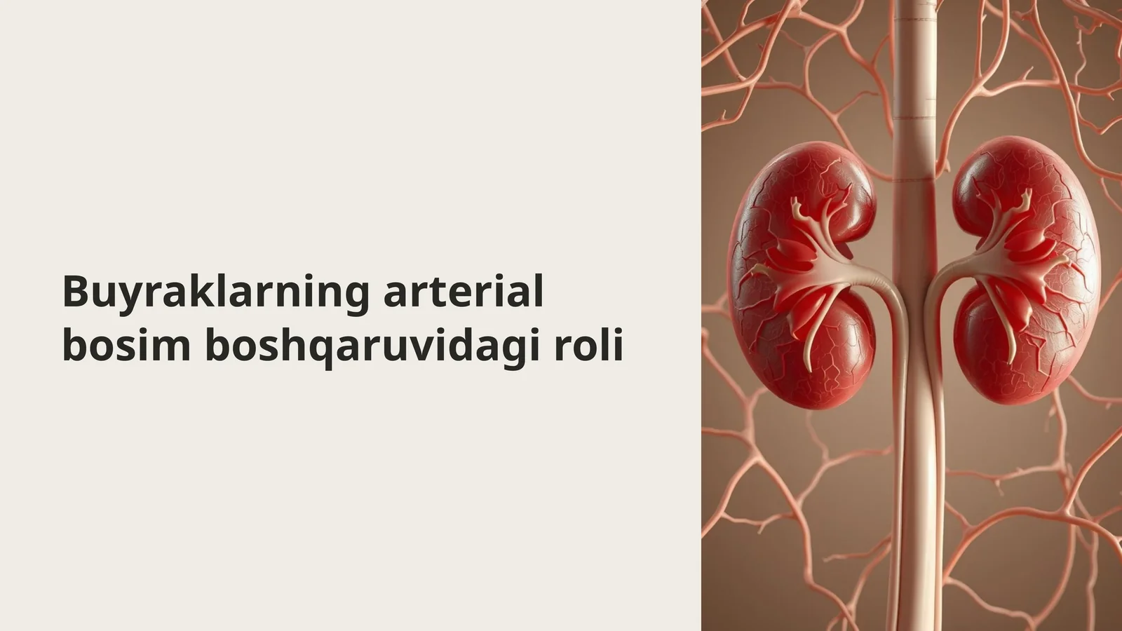 Buyraklarning arterial bosim boshqaruvidagi roli