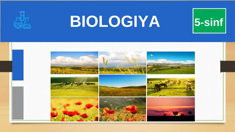 BIOLOGIYA 5-sinf MUSTAHKAMLASH BIOLOGIYA UMURTQALIHAYVONLAR