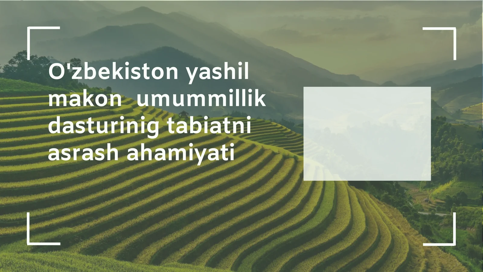Yashil makonlarning ekologik va ijtimoiy ahamiyati