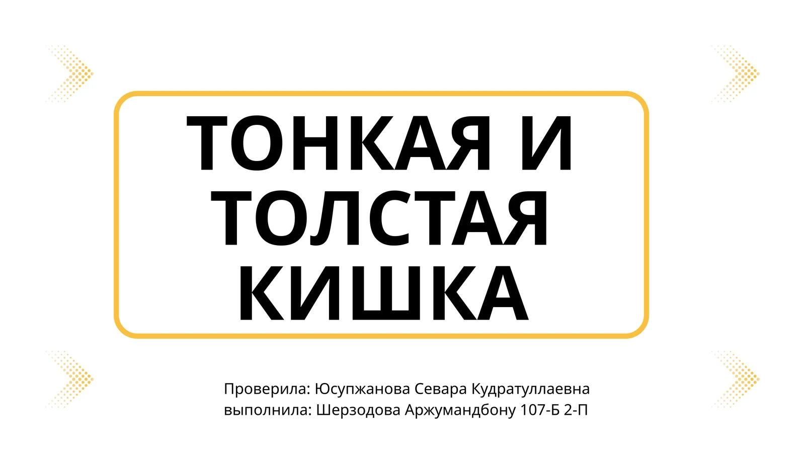 ТОНКАЯ И ТОЛСТАЯ КИШКА