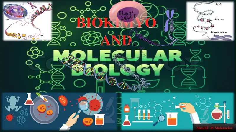 BIOLOGIK KIMYO VA MOLEKULYAR BIOLOGIYA FANINING BOSHQA FANLAR BILAN ALOQASI