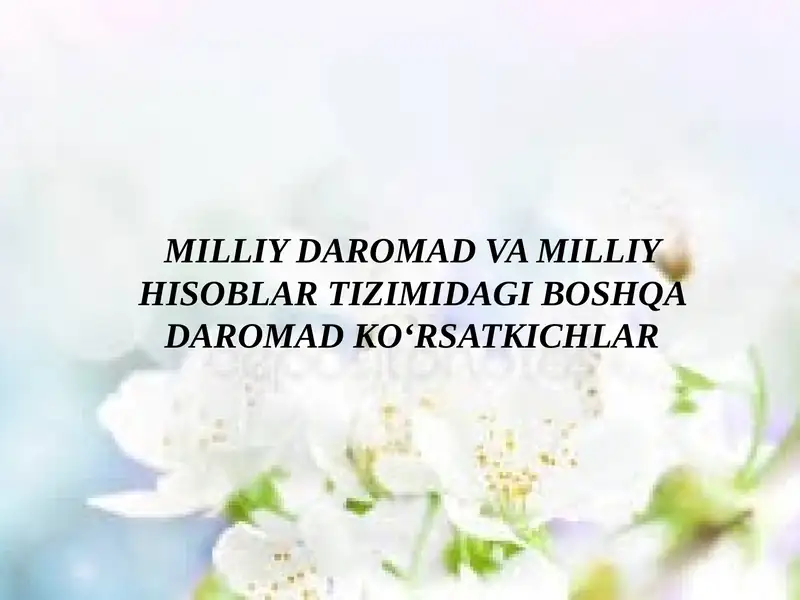 MILLIY DAROMAD VA MILLIY HISOBLAR TIZIMIDAGI BOSHQA DAROMAD KO‘RSATKICHLAR