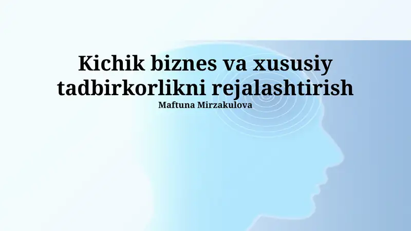 Kichik biznes va xususiy tadbirkorlikni rejalashtirish
