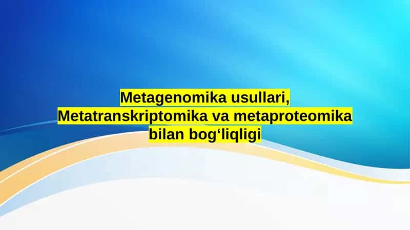 Metagenomika usullari, Metatranskriptomika va metaproteomika bilan bog‘liqligi