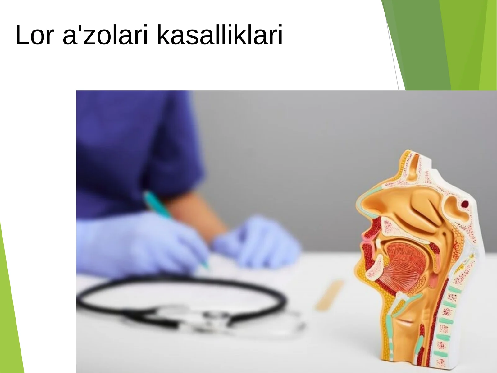 Lor a'zolari kasalliklari