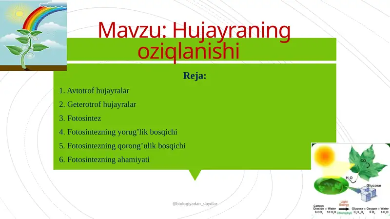 Hujayraning oziqlanishi.