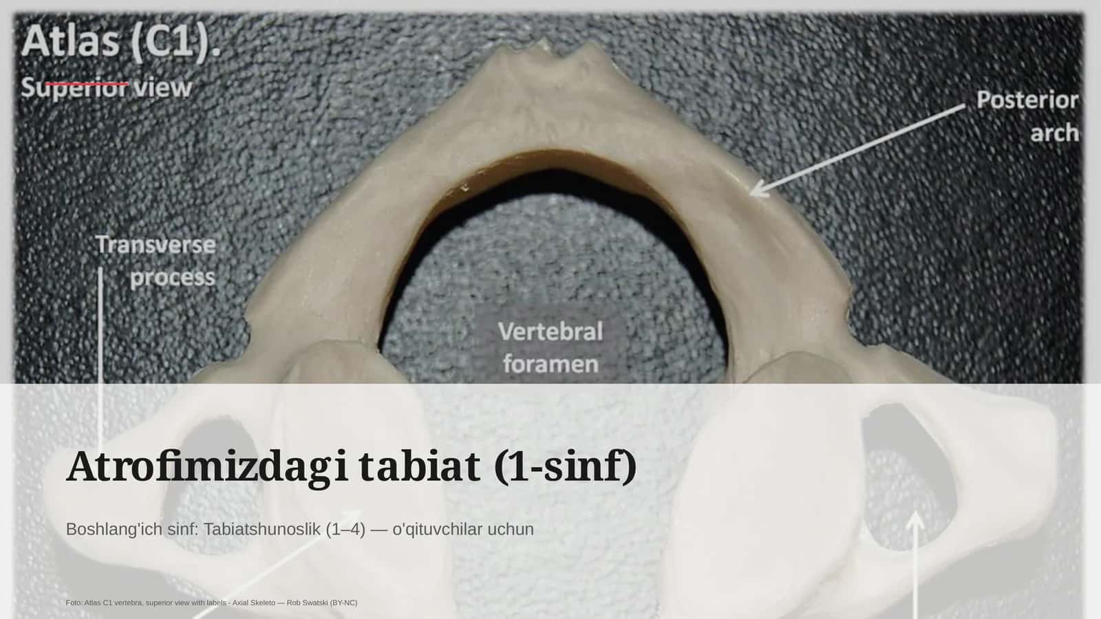 Atrofimizdagi tabiat (1-sinf)