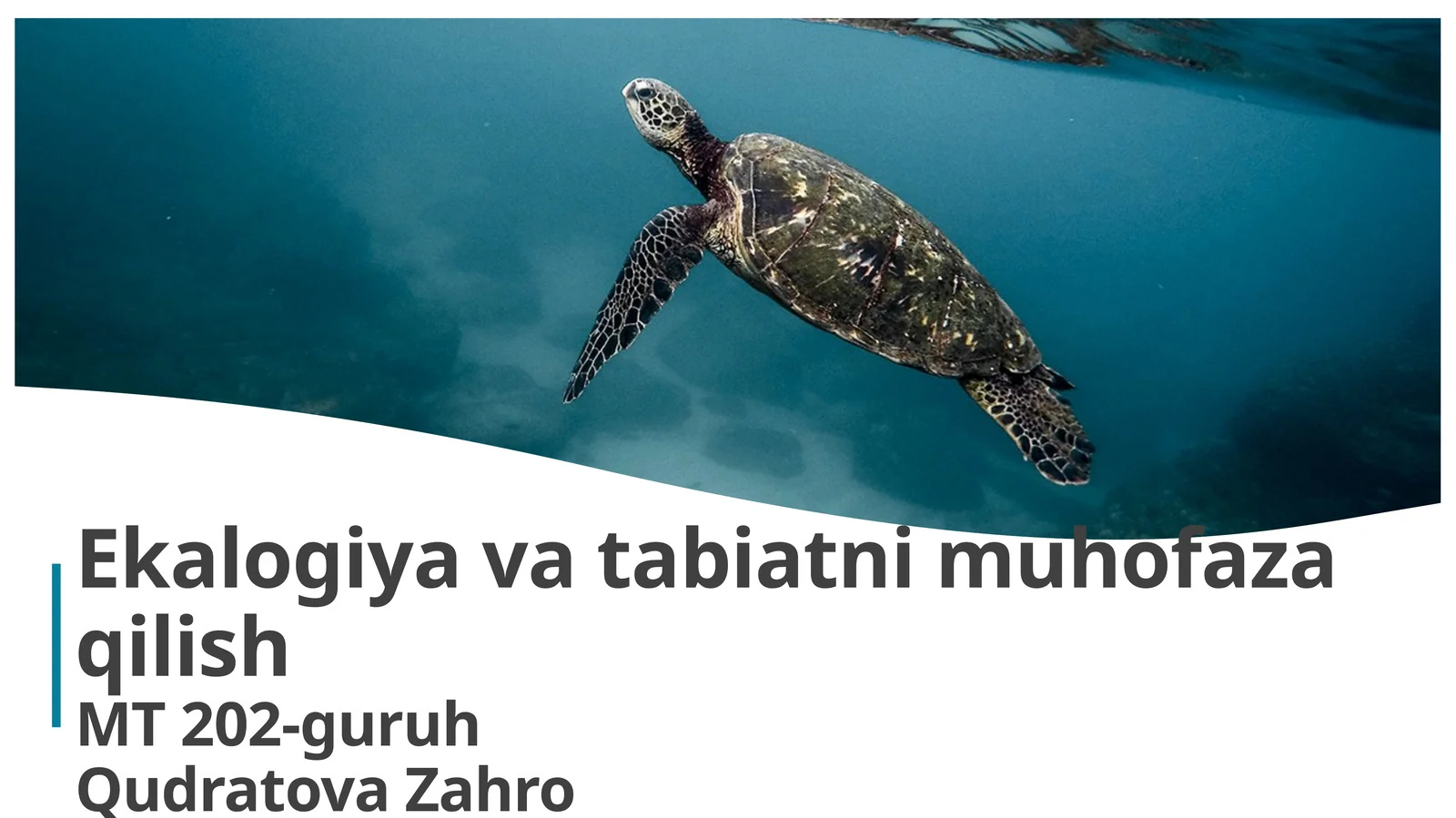 Ekologiyakursining maqsadi, vazifalari, tarixi. Tabiat va jamiyat o’rtasidagi munosabatlar. Populyatsiyalarekologiyasi