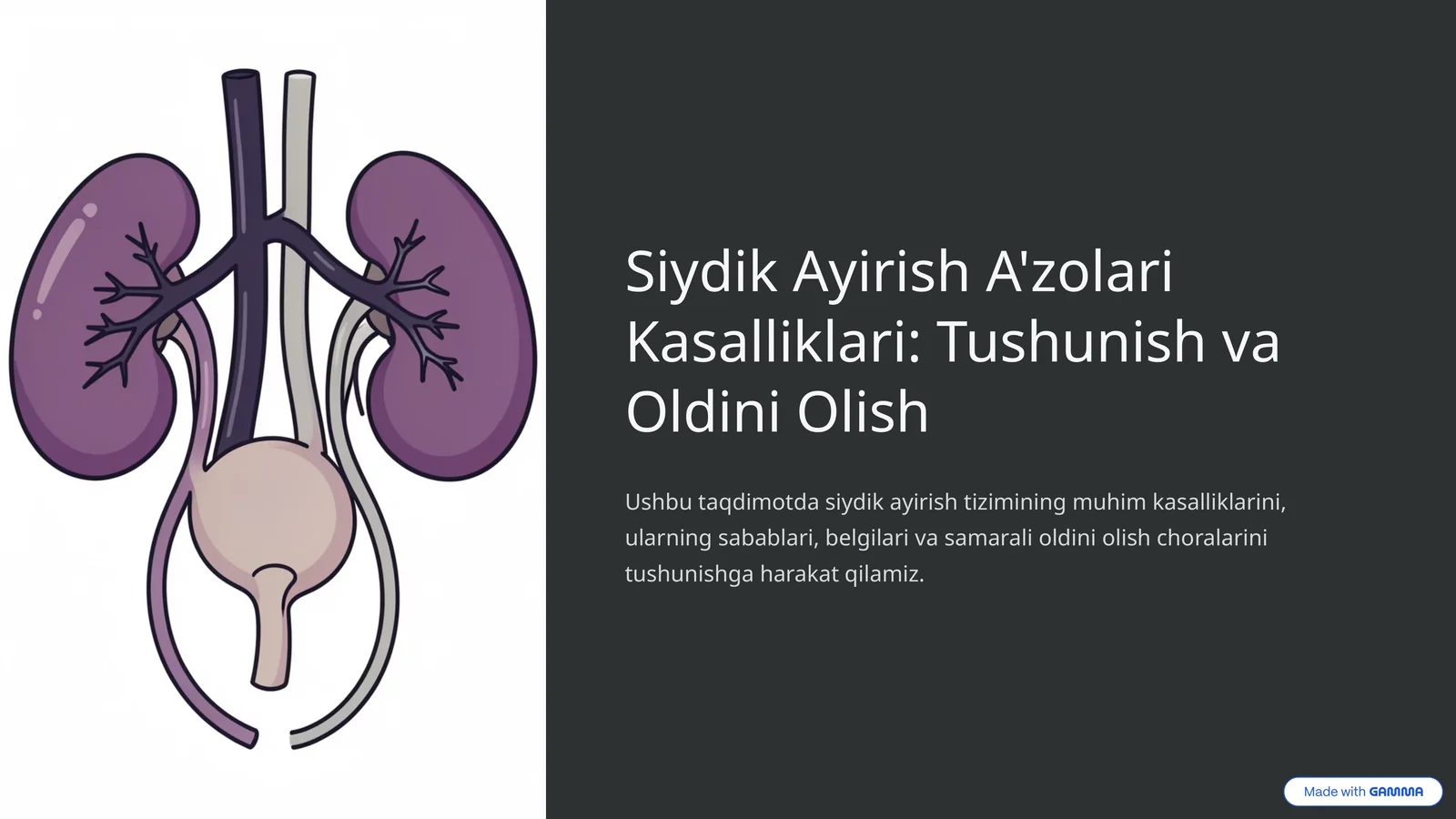 Siydik Ayirish A'zolari Kasalliklari: Tushunish va Oldini Olish