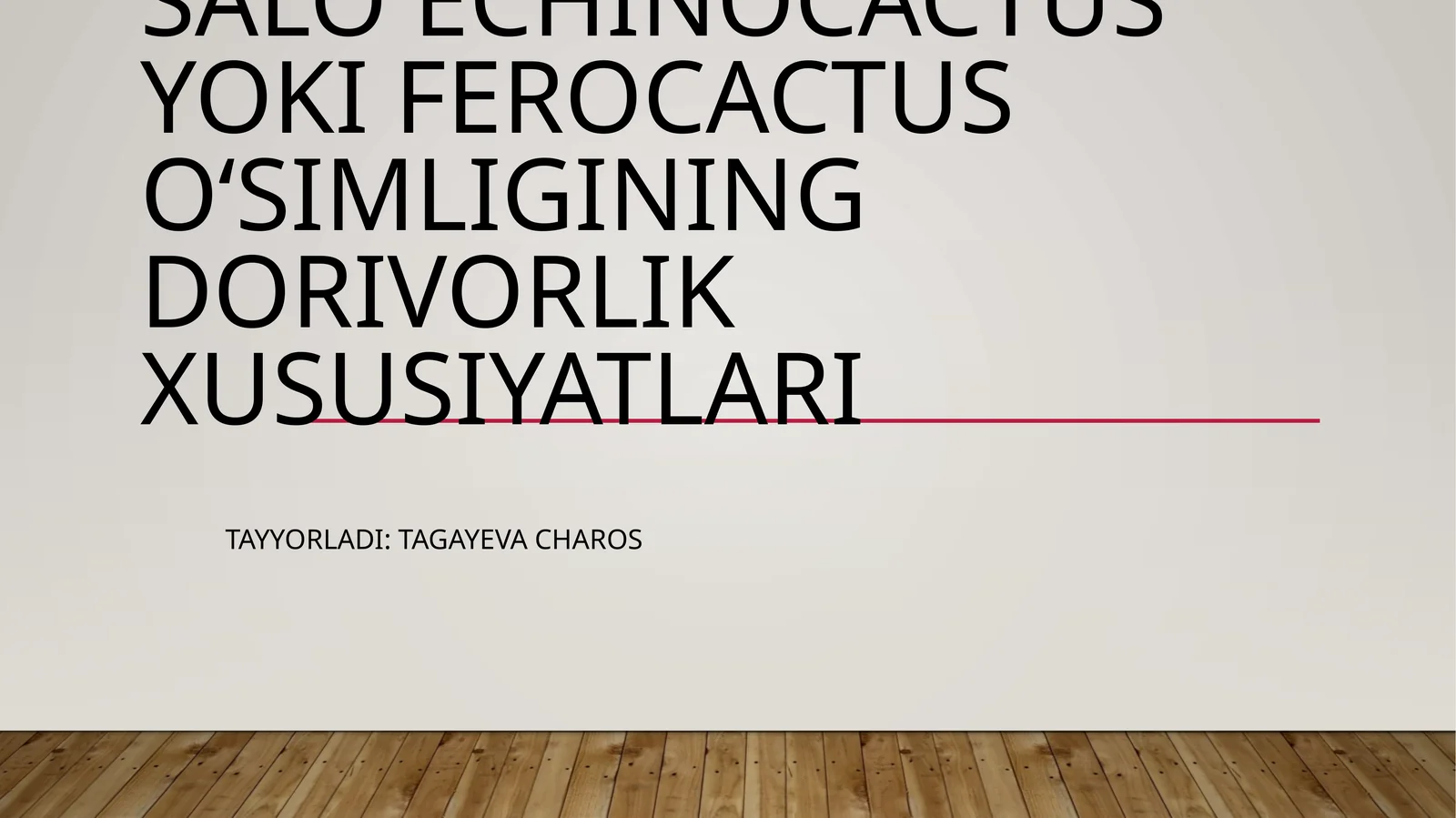 Salo Echinocactus yoki Ferocactus oʻsimligining dorivorlik xususiyatlari