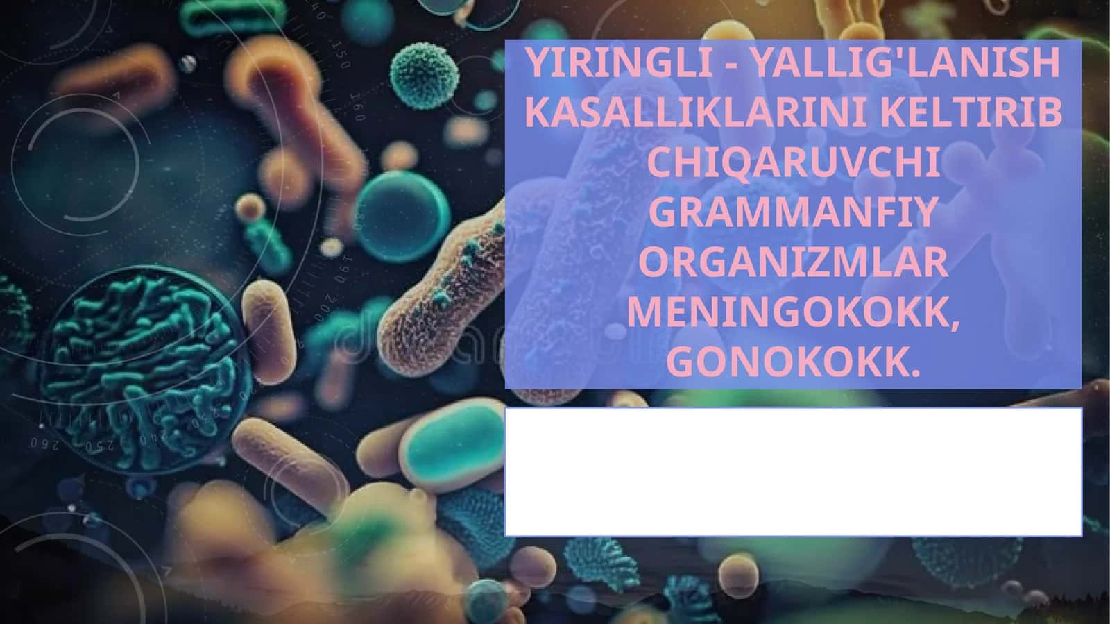 meningokokk, gonokokklar