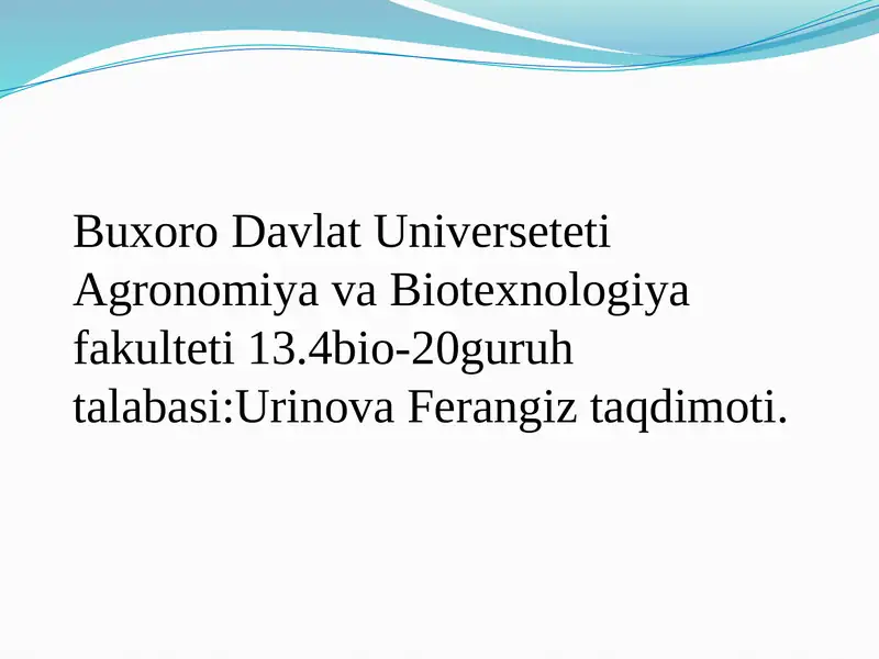 Yalpizdoshlar
