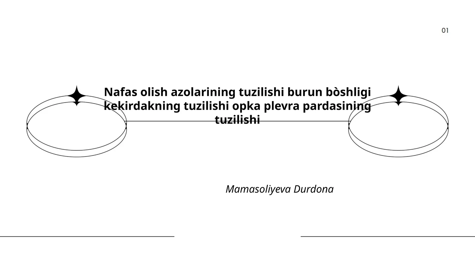 Burun bo'shlig'ining tuzilishi