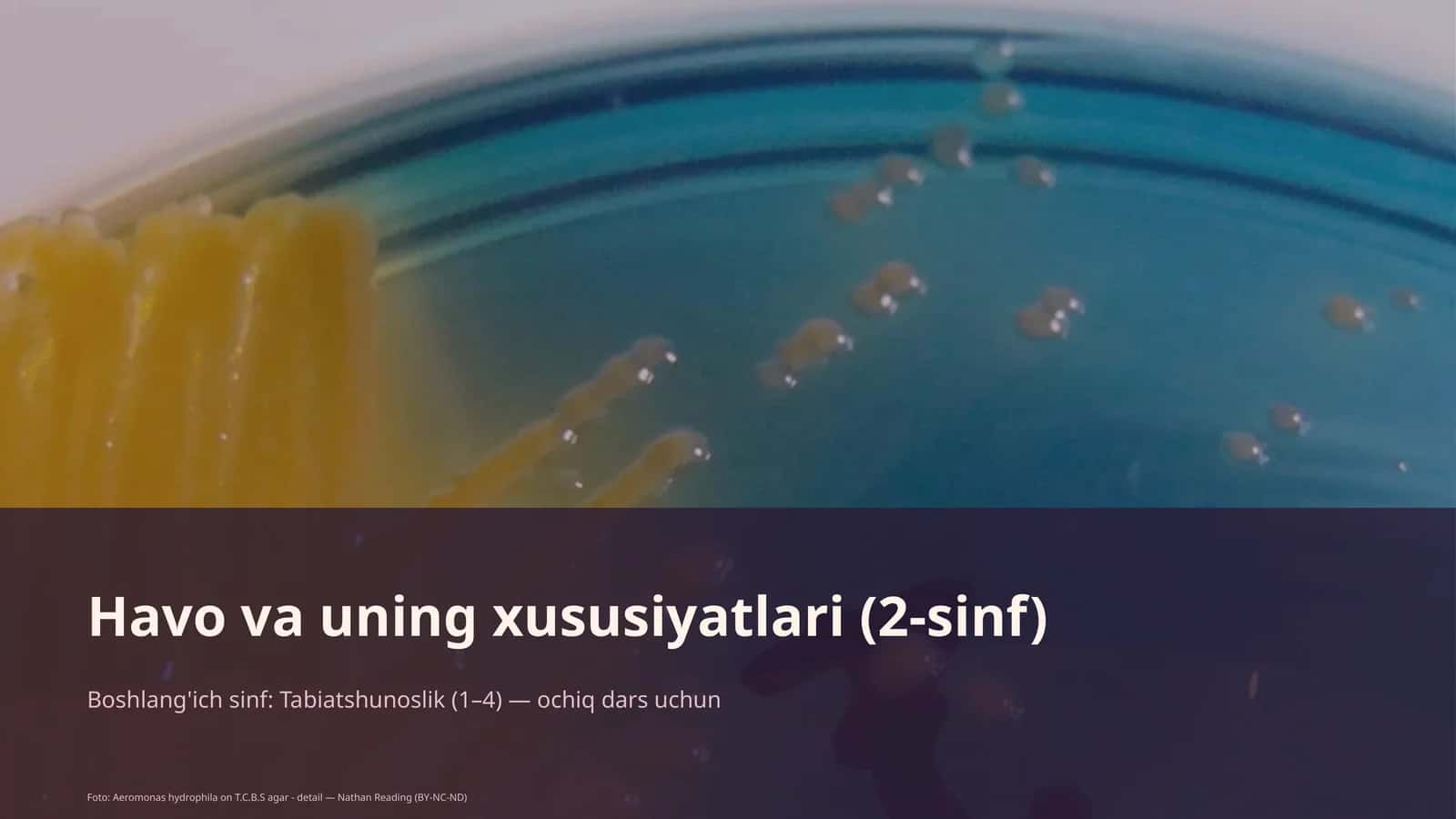 Havo va uning xususiyatlari (2-sinf)