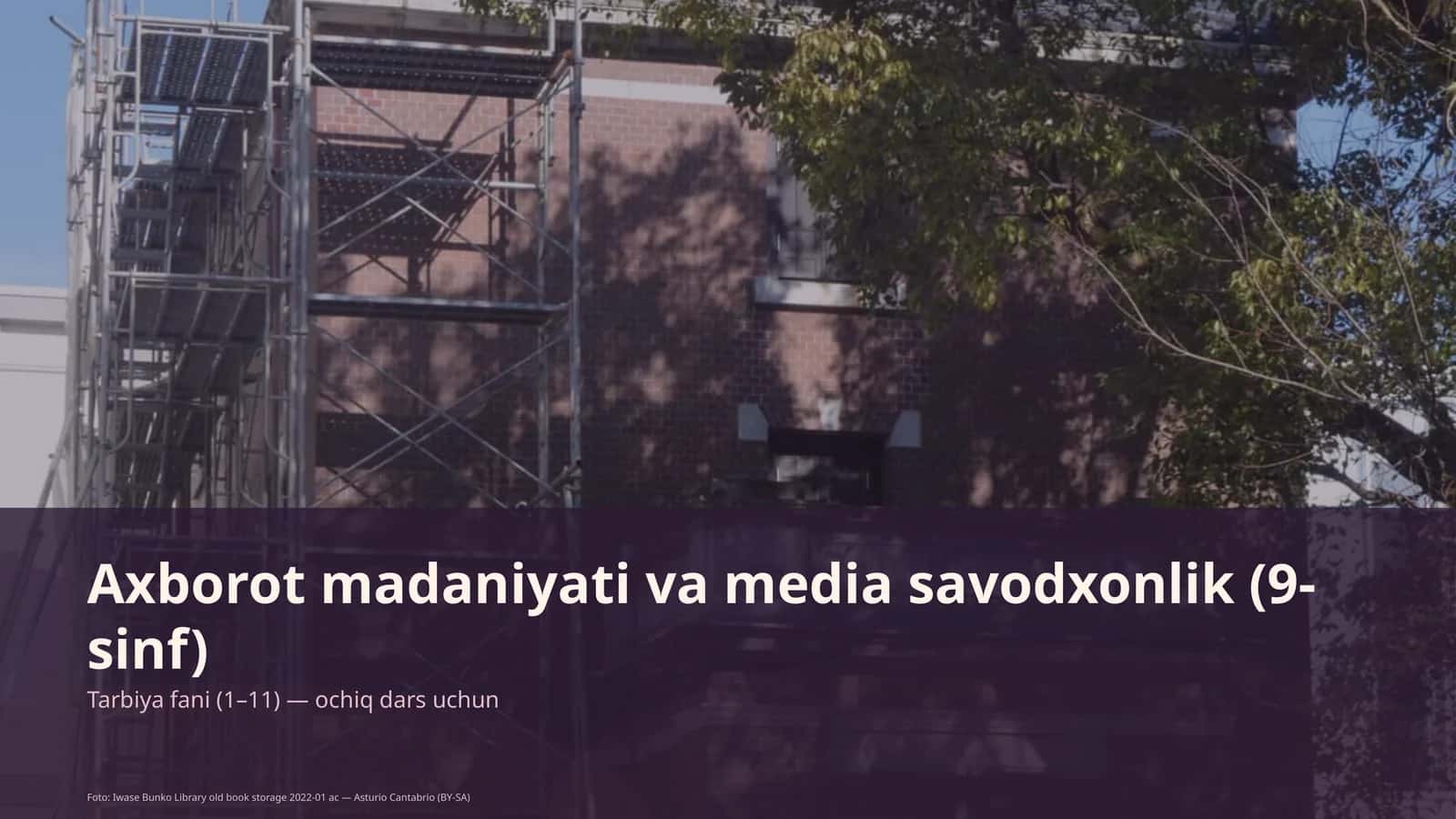 Axborot madaniyati va media savodxonlik (9-sinf)