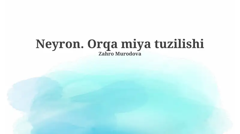 Neyron. Orqa miya tuzilishi