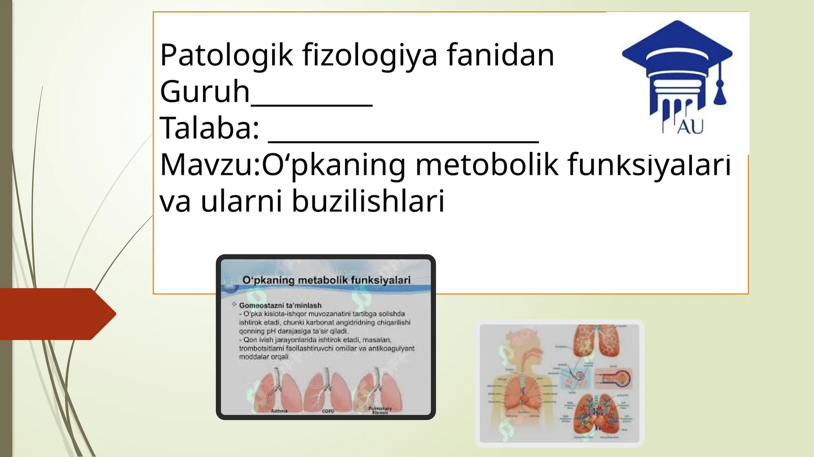 O‘pkaningmetobolikfunksiyalarivaularnibuzilishlari