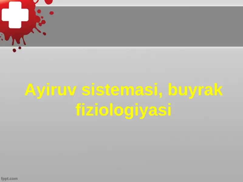 Ayiruv sistemasi, buyrak fiziologiyasi
