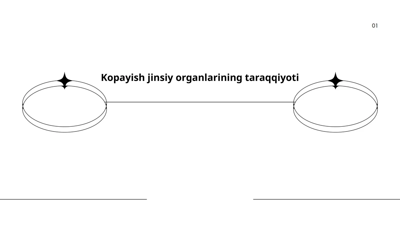 Kopayish jinsiy organlarining taraqqiyoti