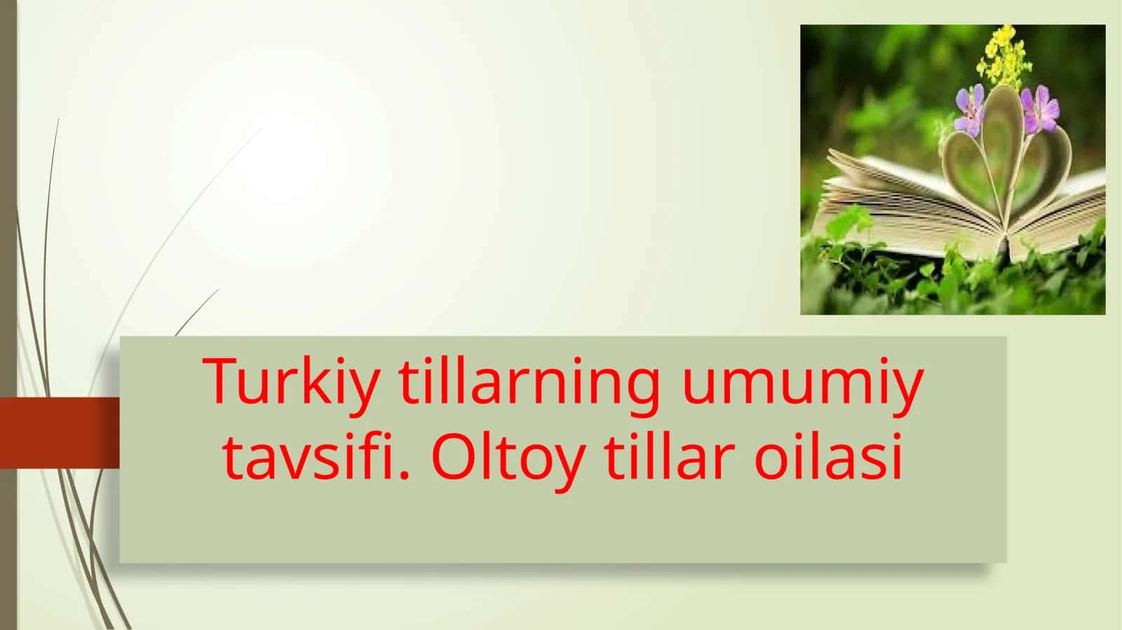 Turkiy tillarning umumiy tavsifi. Oltoy tillar oilasi