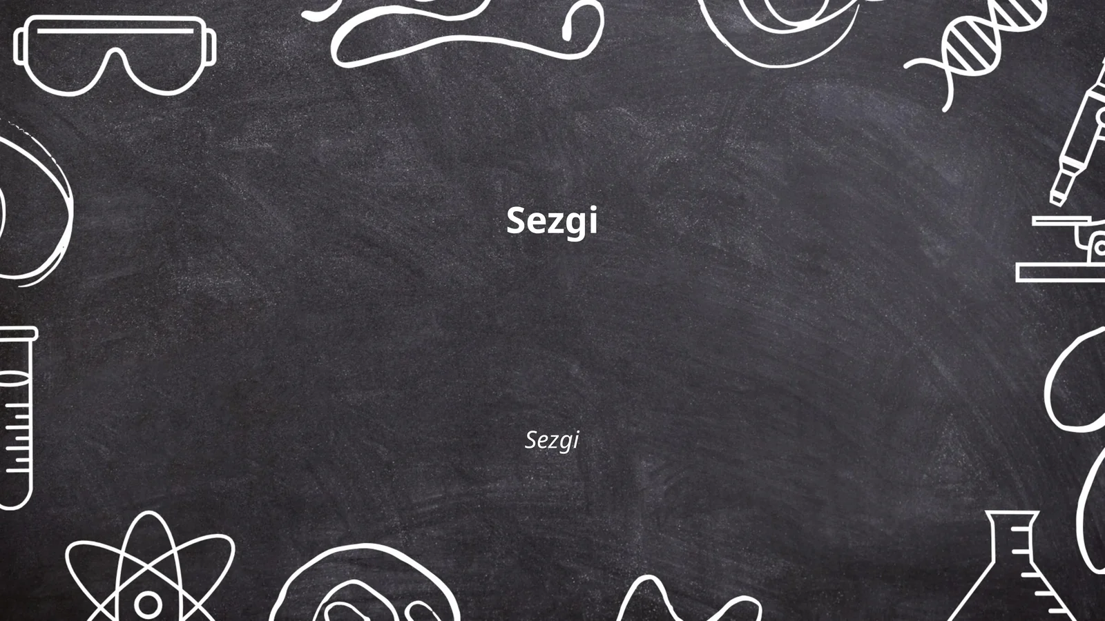 Sezgi