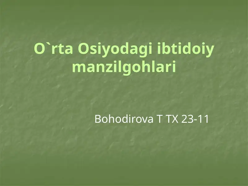 O`rta Osiyodagi Ibtidoiy Manzilgohlari