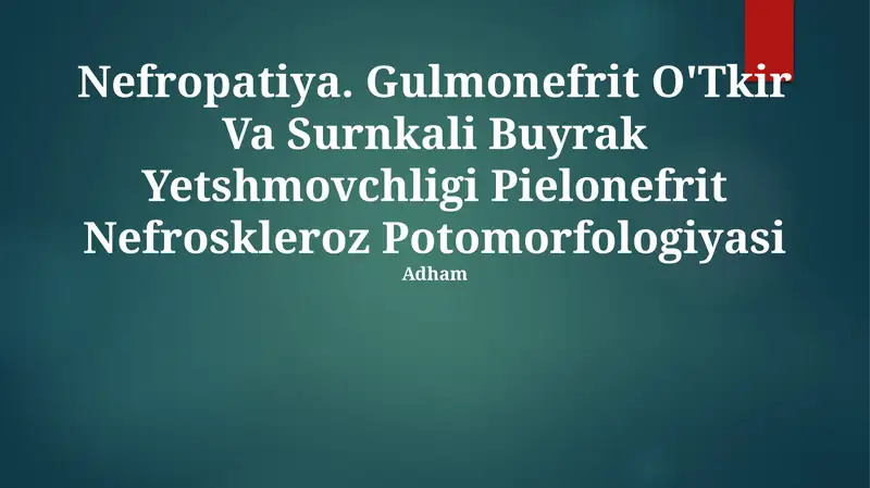 Nefropatiya. Gulmonefrit O'Tkir Va Surnkali Buyrak Yetshmovchligi Pielonefrit Nefroskleroz Potomorfologiyasi