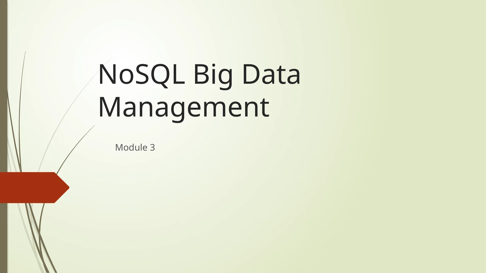 NoSQL Big Data Management