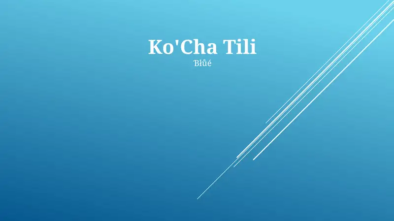 Ko'Cha Tili
