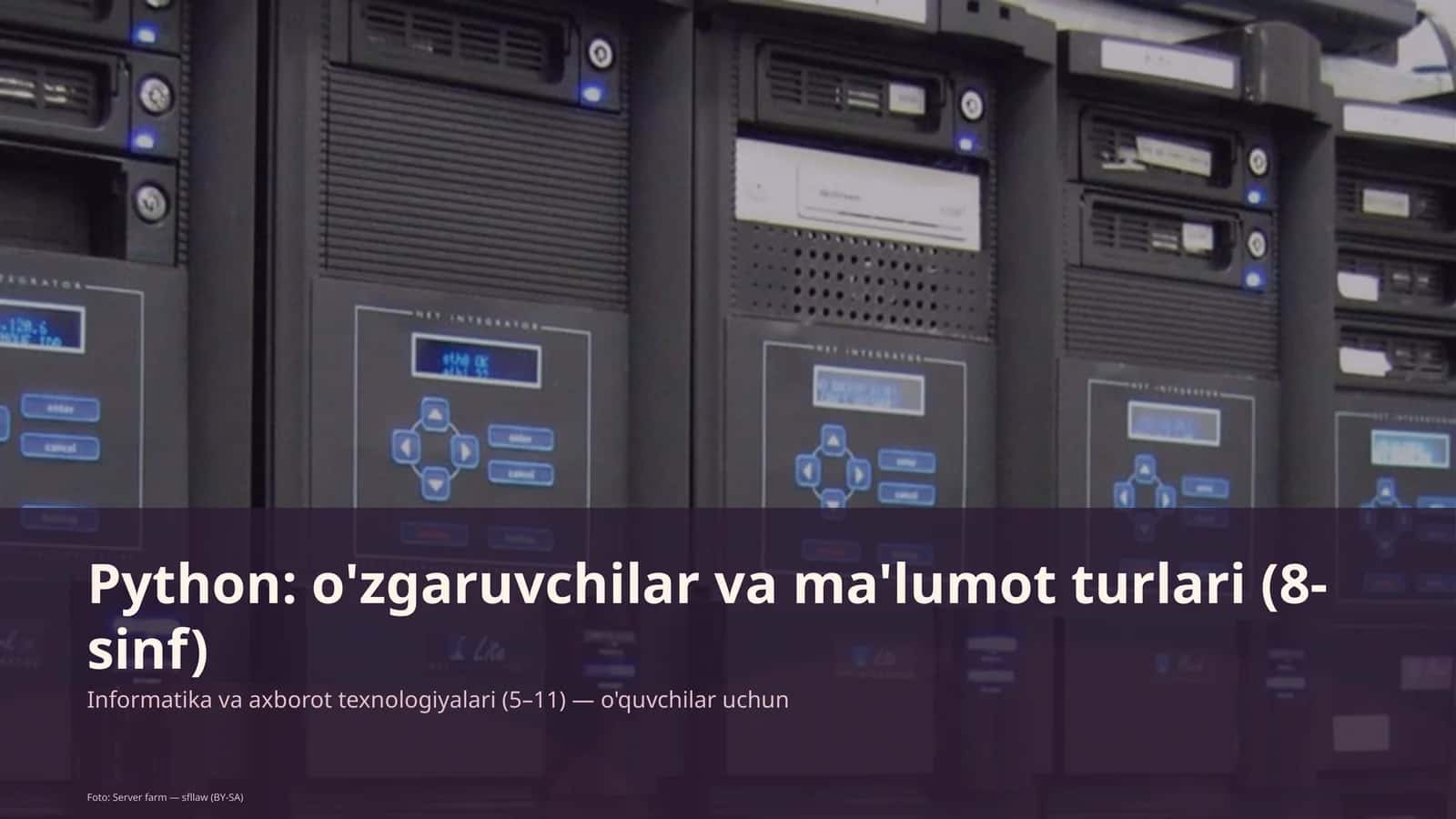 Python: o'zgaruvchilar va ma'lumot turlari (8-sinf)
