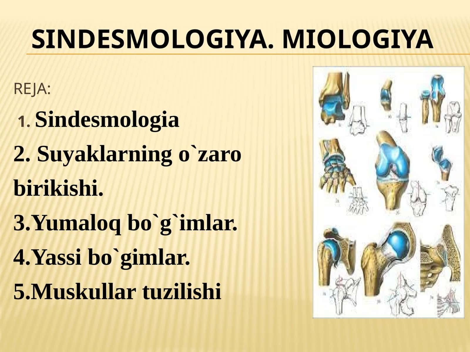 SINDESMOLOGIA