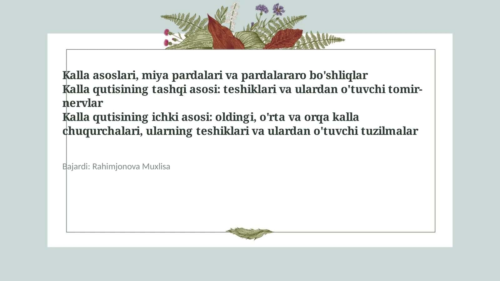Kalla asoslari, miya pardalari va pardalararo bo'shliqlar