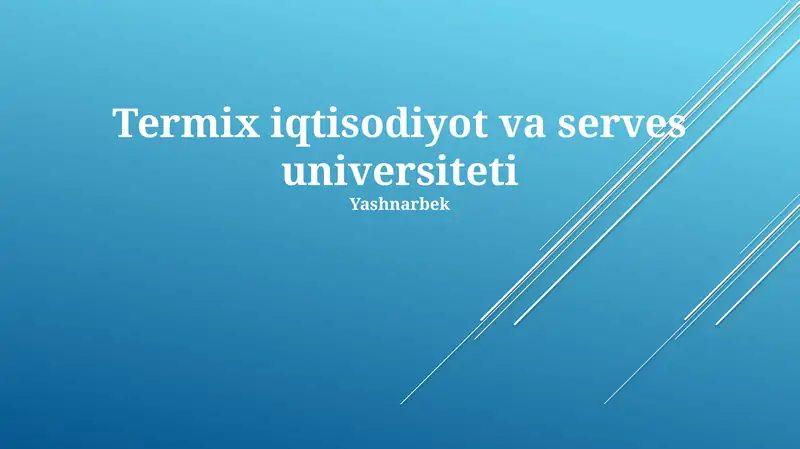 Termix Iqtisodiyot va Xizmatlar Universiteti