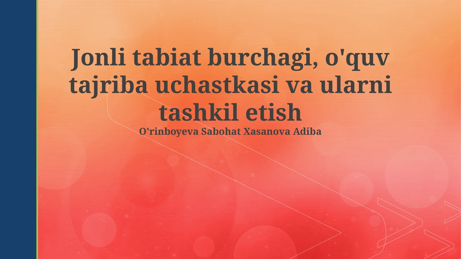 Tabiat burchagi va o'quv tajriba uchastkasi