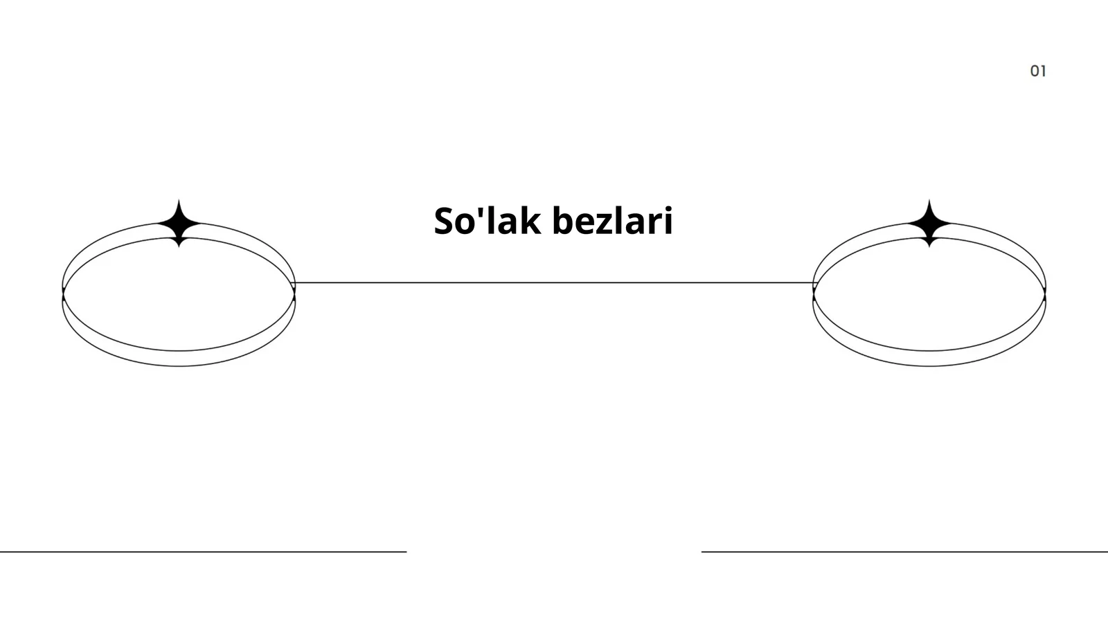 So'lak bezlari