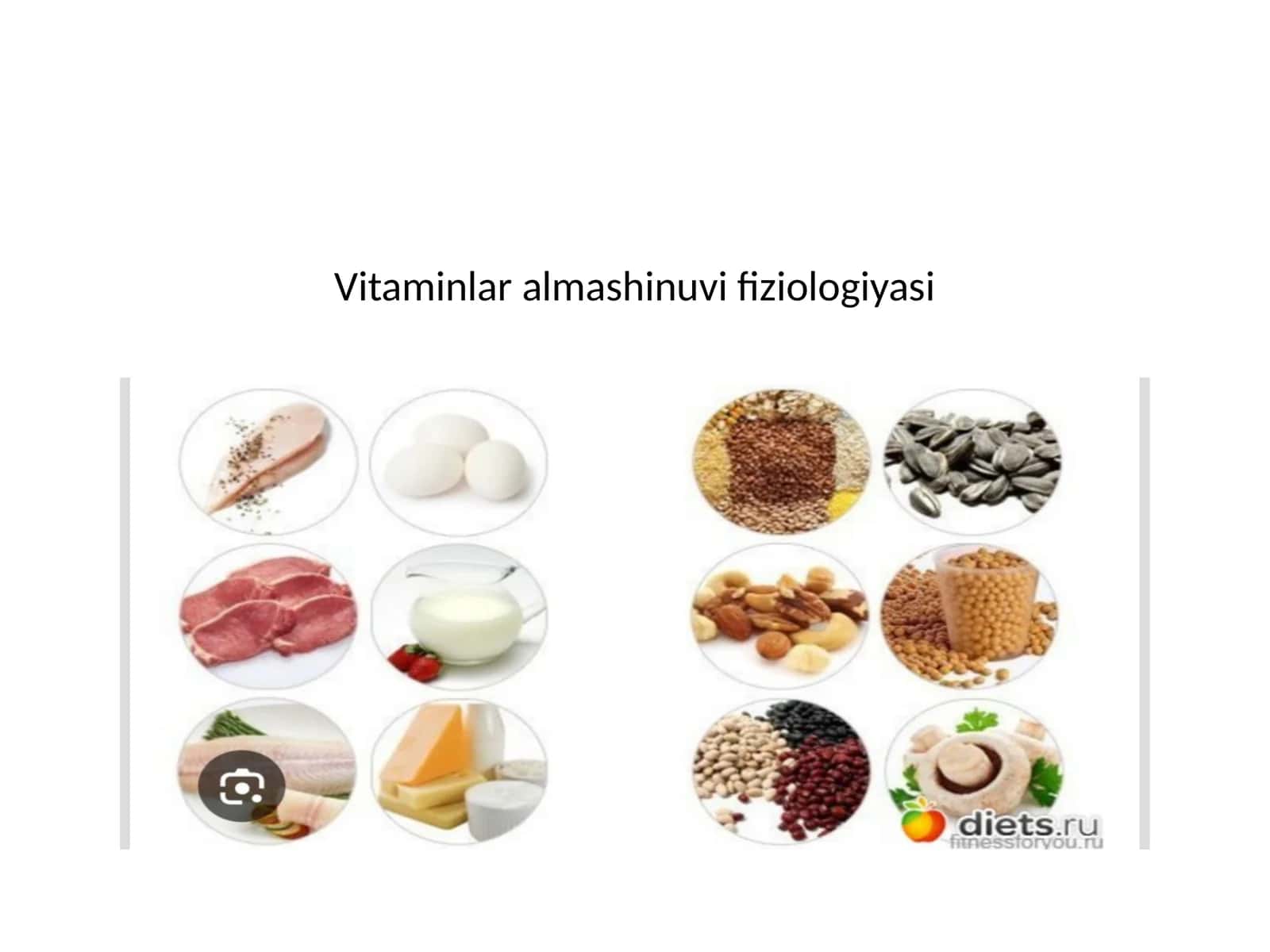 Vitaminlar almashinuvi fiziologiyasi