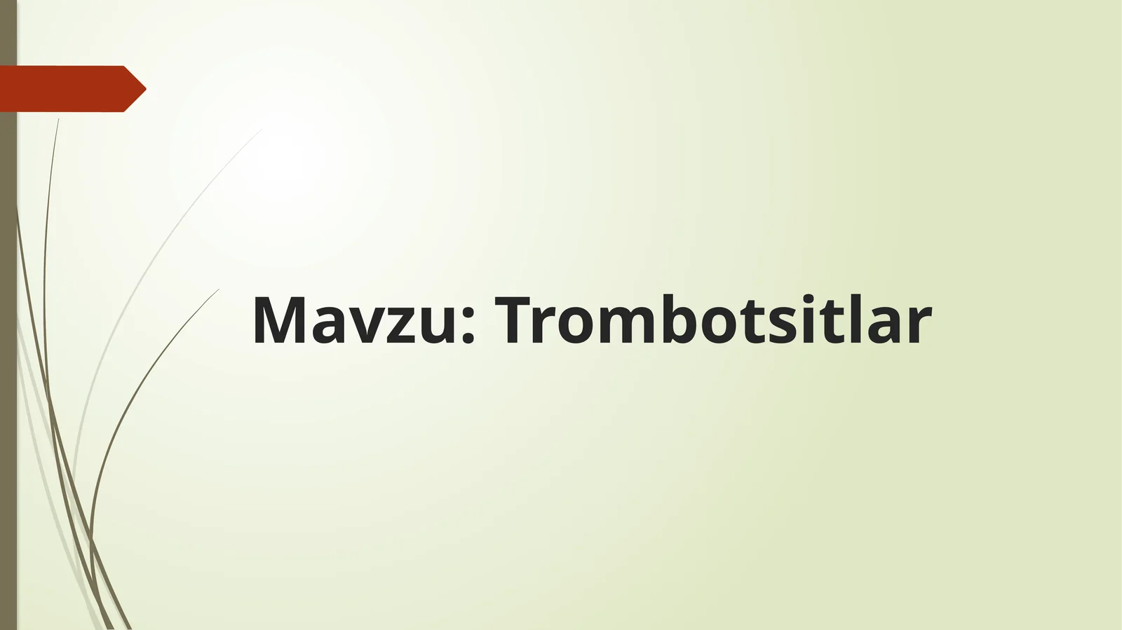 Trombotsitlar