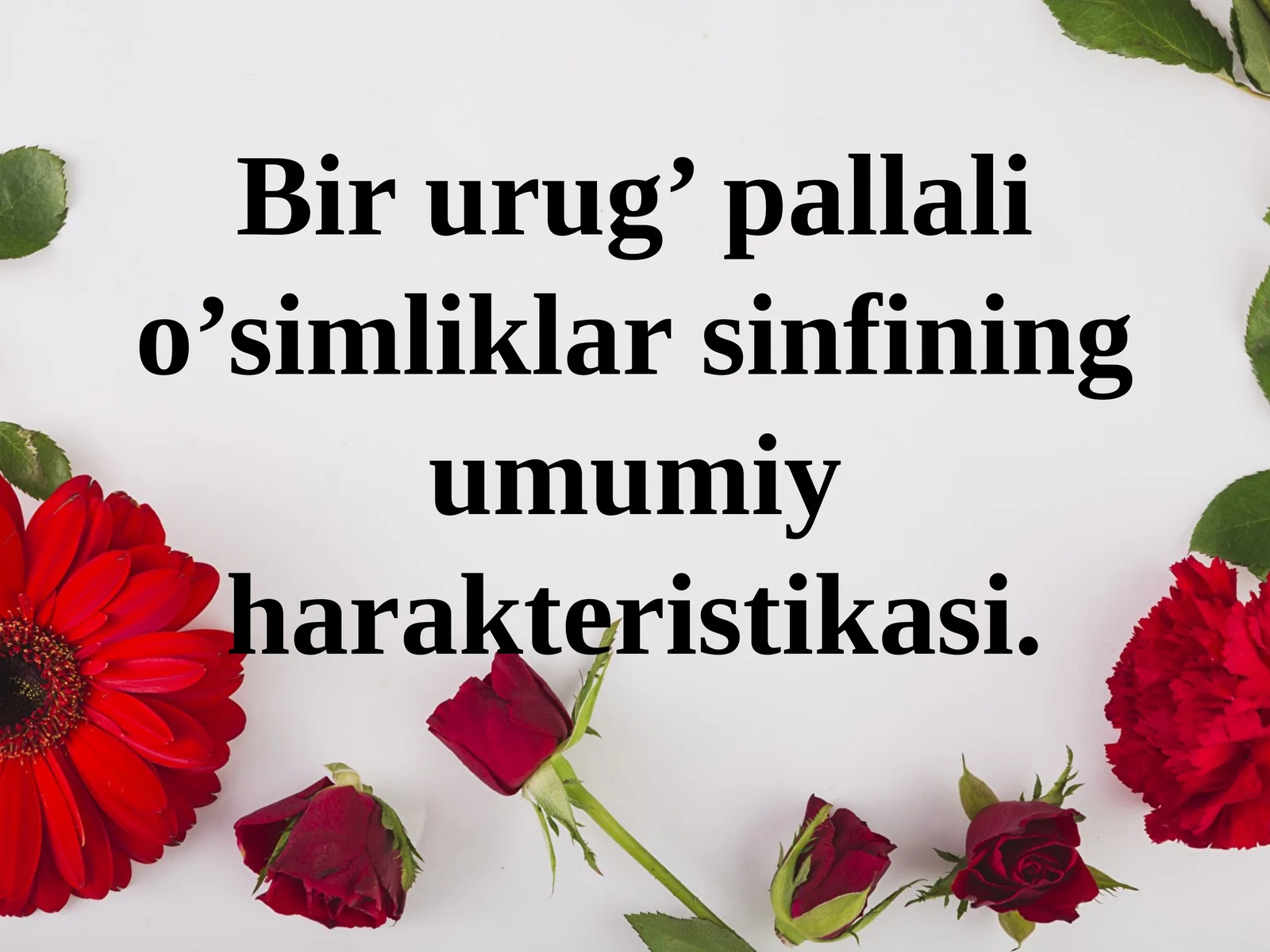 Bir urug’ pallali o’simliklar sinfining umumiy harakteristikasi.
